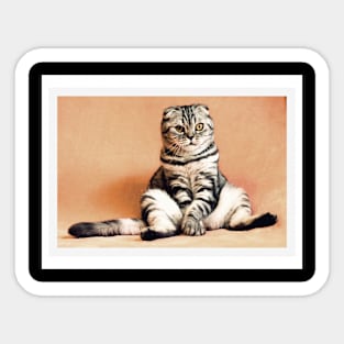 cute cat Sticker